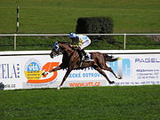 180px-Horse_racing_Velka_Chuchle.jpg